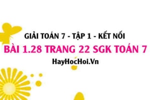 Giải bài 1.28 trang 22 Toán 7 Tập 1 SGK Kết nối tri thức: Các phép toán số hữu tỉ